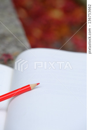 Autumn image material of notebook and maple leaves Autumn image material of notebook and maple leaves 136753662