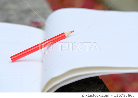 Autumn image material of notebook and maple leaves Autumn image material of notebook and maple leaves 136753663