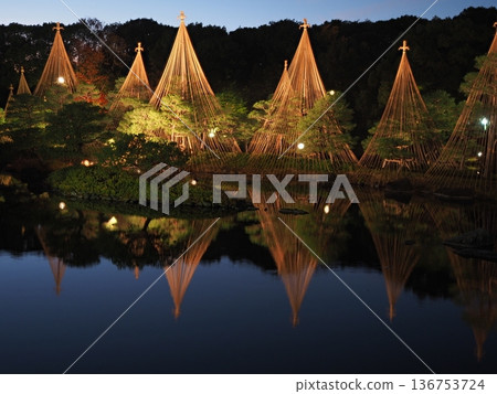 名古屋的秋色,白鳥庭園,夕陽染紅的天空和雪祭樹 名古屋的秋色,白鳥庭園,夕陽染紅的天空和雪祭樹 136753724