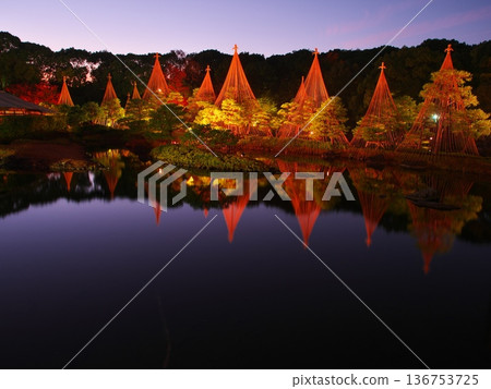 名古屋的秋色,白鳥庭園,夕陽染紅的天空和雪祭樹 名古屋的秋色,白鳥庭園,夕陽染紅的天空和雪祭樹 136753725