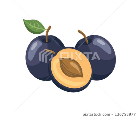 Fresh purple plums with green leaves whole, halved, and sliced. Illustration. 136753977