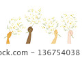 Illustration of various hands holding mimosas 136754038