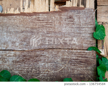 Old Weathered Wood Planks Background with Fresh Green Ivy Climbing Old Weathered Wood Planks Background with Fresh Green Ivy Climbing 136754584