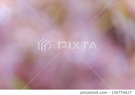 絕妙的散景背景素材，粉紅色和白色燈光交疊。 136754627