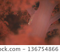 軟珊瑚中的玻璃蝦虎魚 136754866