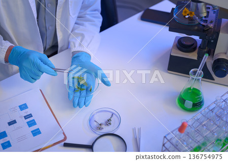 Laboratory workspace with microscope, green chemical solution, and research documents, representing modern scientific analysis and controlled experimentation. 136754975