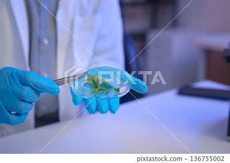 Laboratory workspace with microscope, green chemical solution, and research documents, representing modern scientific analysis and controlled experimentation. 136755002