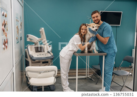 Equipment for ultrasonic testing. Veterinarians are with Akita Inu dog in clinic Equipment for ultrasonic testing. Veterinarians are with Akita Inu dog in clinic 136755031
