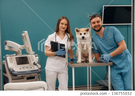 Equipment for ultrasonic testing. Veterinarians are with Akita Inu dog in clinic Equipment for ultrasonic testing. Veterinarians are with Akita Inu dog in clinic 136755032