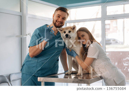 Friendly facial expression, smiling. Veterinarians are with Akita Inu dog in clinic Friendly facial expression, smiling. Veterinarians are with Akita Inu dog in clinic 136755084