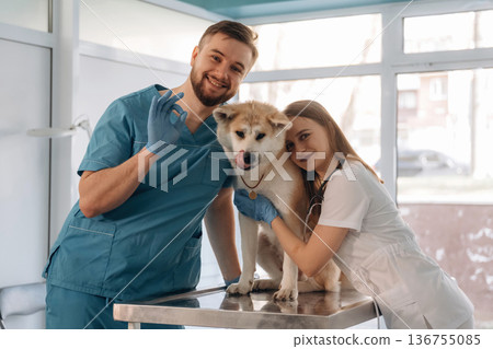 Friendly facial expression, smiling. Veterinarians are with Akita Inu dog in clinic 136755085