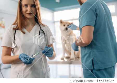 Woman is holding thermometer. Veterinarians are with Akita Inu dog in clinic Woman is holding thermometer. Veterinarians are with Akita Inu dog in clinic 136755087