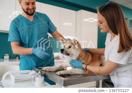 In professional doctor's clothes. Veterinarians are with Akita Inu dog in clinic 136755227