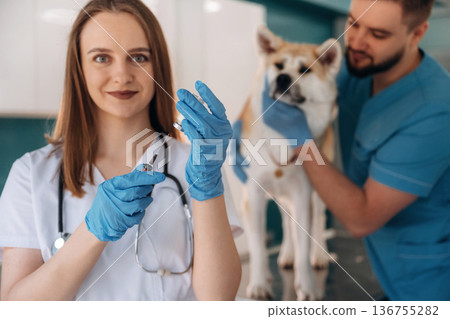 Syringe and medicine, vaccination. Veterinarians are with Akita Inu dog in clinic 136755282