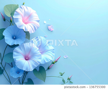 牽牛花與淡藍色七月夏季背景素材，日式現代設計，留白充足 136755300