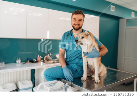 Looking at the camera. Male veterinarian is with Akita Inu dog in clinic 136755330