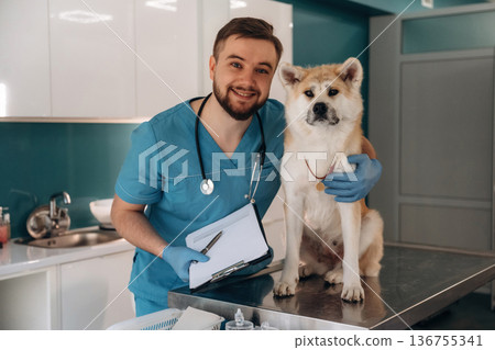 Looking at the camera. Male veterinarian is with Akita Inu dog in clinic 136755341