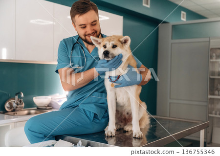 Sitting and smiling. Male veterinarian is with Akita Inu dog in clinic Sitting and smiling. Male veterinarian is with Akita Inu dog in clinic 136755346