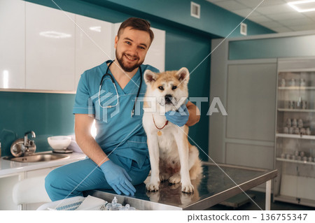 Sitting and smiling. Male veterinarian is with Akita Inu dog in clinic Sitting and smiling. Male veterinarian is with Akita Inu dog in clinic 136755347