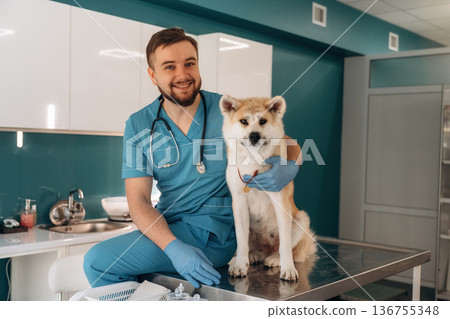 Sitting and smiling. Male veterinarian is with Akita Inu dog in clinic Sitting and smiling. Male veterinarian is with Akita Inu dog in clinic 136755348