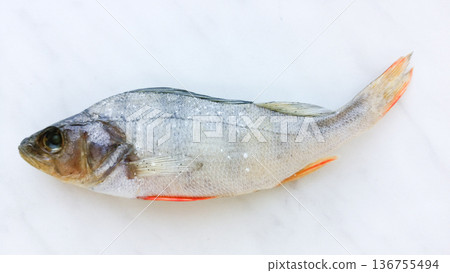 Dry perch on a marble background. Dry perch on a marble background. 136755494