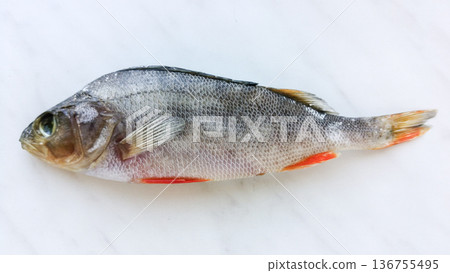 Dry perch on a marble background. Dry perch on a marble background. 136755495