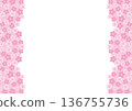 Horizontal frame of cherry blossoms on white background 136755736