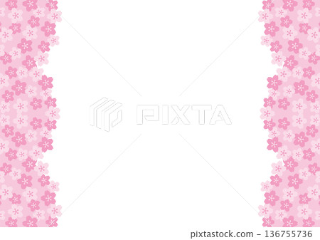 Horizontal frame of cherry blossoms on white background 136755736