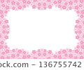 Cherry blossom frame on white background. Horizontal 136755742