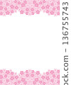 Vertical frame of cherry blossoms on white background 136755743
