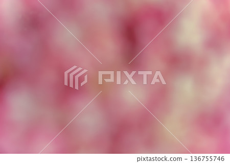 A fantastic floral bokeh background of pink and white 136755746