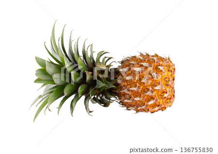 Ripe pineapple fruits isolated on a white background. 136755830
