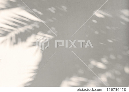 Abstract tropical palm leaf shadow on neutral wall background, natural sunlight. Plant silhouette, beige concrete wall texture. Natural botanical shadow overlay. Minimal aesthetic backdrop. Soft light 136756458