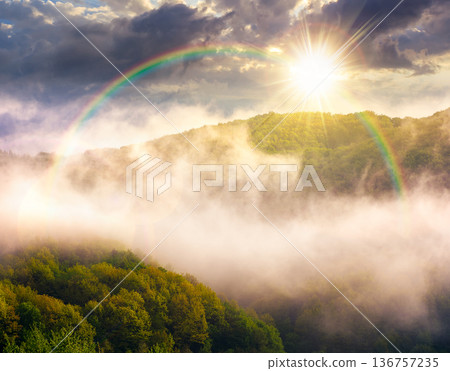 mountain landscape with cold fog at sunset. low clouds evaporating over the forested hill in evening light. outdoor scenery in spring for remote highland ecotourism. wonderful greenery under rainbow mountain landscape with cold fog at sunset. low clouds evaporating over the forested hill in evening light. outdoor scenery in spring for remote highland ecotourism. wonderful greenery under rainbow 136757235