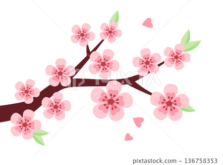 Sakura, cherry blossom tree branch isolated vector illustration in simple flat style. Spring clipart design element. Springtime bloom concept. Sakura, cherry blossom tree branch isolated vector illustration in simple flat style. Spring clipart design element. Springtime bloom concept. 136758353