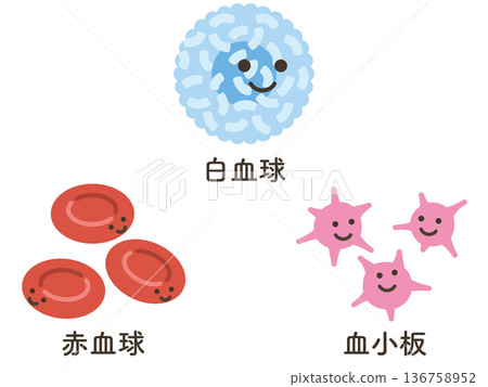 White blood cells, red blood cells, and platelets 136758952