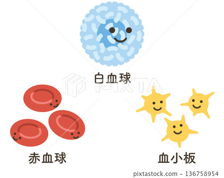 白血球、紅血球和血小板 136758954