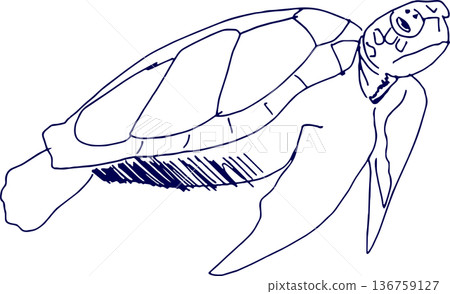 Hand drawn illustration sketch sea turtle 136759127