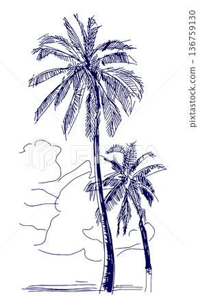 Hand drawn illustration sketch summer landscape with palm trees Hand drawn illustration sketch summer landscape with palm trees 136759130