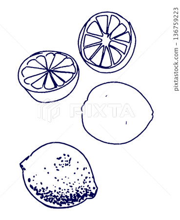 Hand drawn illustration sketch lemon Hand drawn illustration sketch lemon 136759223
