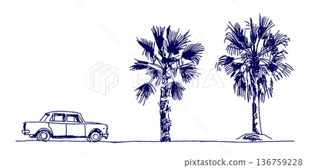 手繪插圖草圖,棕櫚樹和汽車旅行風景 手繪插圖草圖,棕櫚樹和汽車旅行風景 136759228