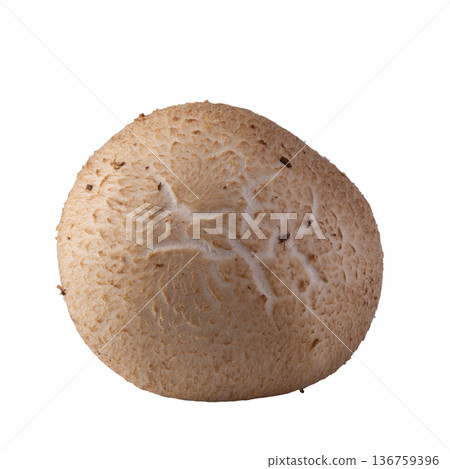 Shiitake mushrooms isolated on the white background Shiitake mushrooms isolated on the white background 136759396