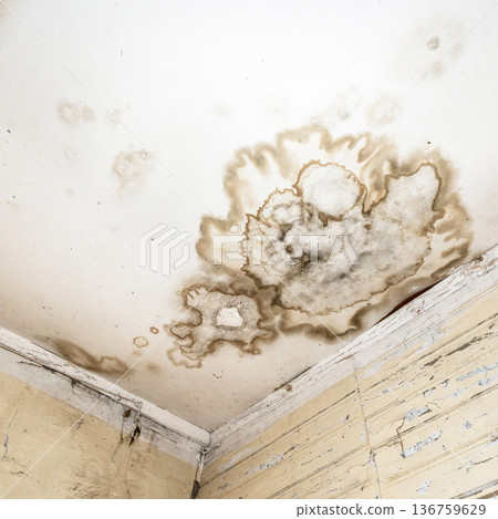 Mold spots on the ceiling or wall 136759629