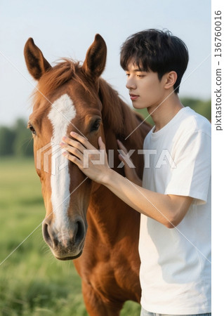 阳光下青年男子温柔抚摸棕马 136760016