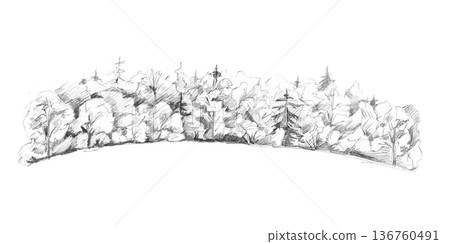 A panoramic pencil sketch of a dense forest with tall trees. Isolated illustration for nature-related branding, environmental campaigns, outdoor adventure marketing, and landscape architecture. 136760491