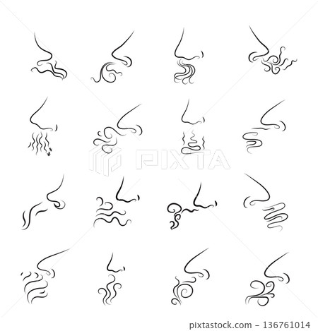 Hand drawn minimalist vector icon of a nose with scent waves Hand drawn minimalist vector icon of a nose with scent waves 136761014