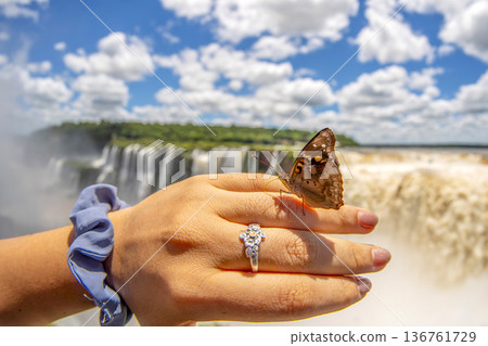 butterfly ion woman hand in Iguazu falls waterfalls Scenic destination butterfly ion woman hand in Iguazu falls waterfalls Scenic destination 136761729