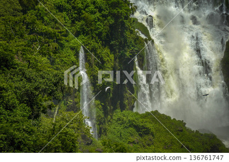 Iguazu falls waterfalls Scenic destination Iguazu falls waterfalls Scenic destination 136761747