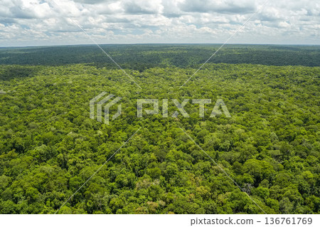 Tropical rainforest landscape Aerial view Iguazu falls waterfalls Scenic destination panorama from helicopter tour Tropical rainforest landscape Aerial view Iguazu falls waterfalls Scenic destination panorama from helicopter tour 136761769