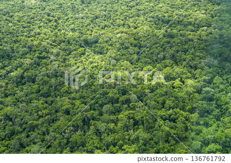 Tropical rainforest landscape Aerial view Iguazu falls waterfalls Scenic destination panorama from helicopter tour Tropical rainforest landscape Aerial view Iguazu falls waterfalls Scenic destination panorama from helicopter tour 136761792